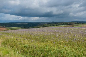 Impressionen aus Möhn